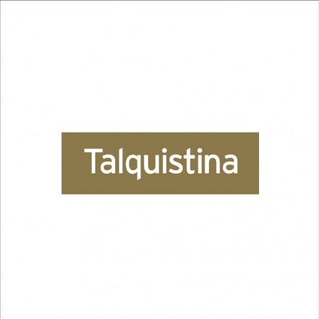 Icono de Talquistina